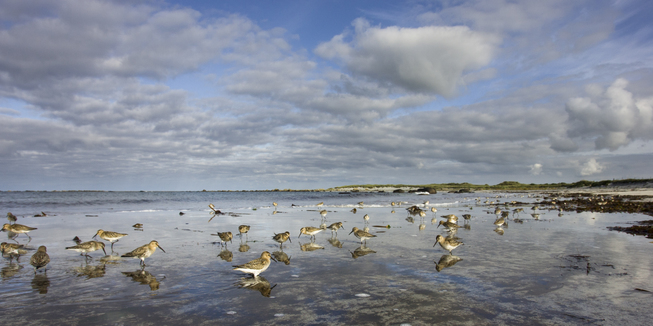 Vårprogrammet i foredragsserien Natur på torsdag er klart