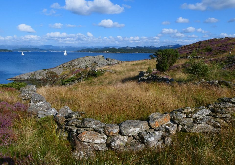 20 år med dugnad på Store Marøy