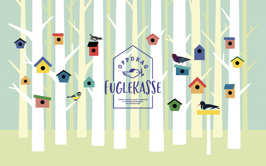 Det er tid for å bygge fuglekasser