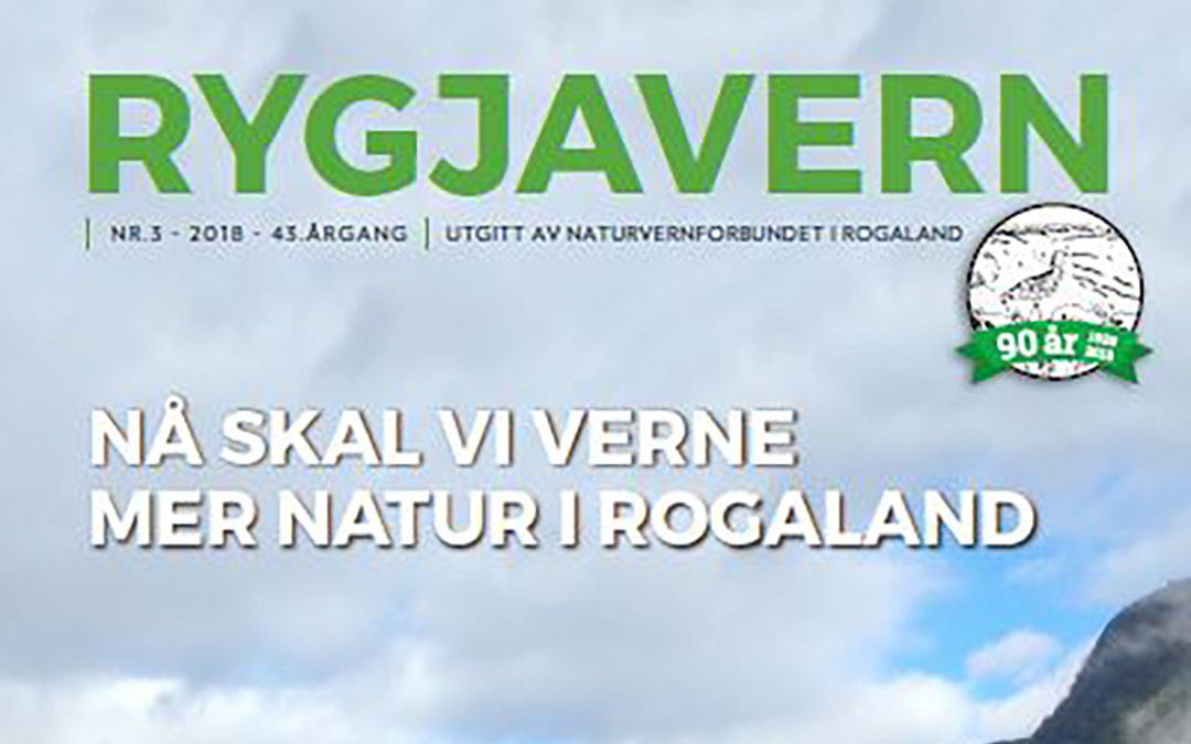 Vil du annonsere i Rygjavern?