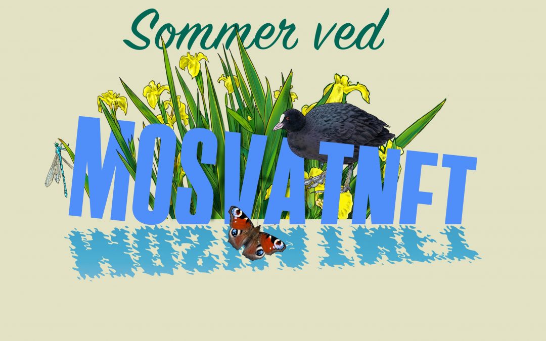 Sommer ved Mosvatnet