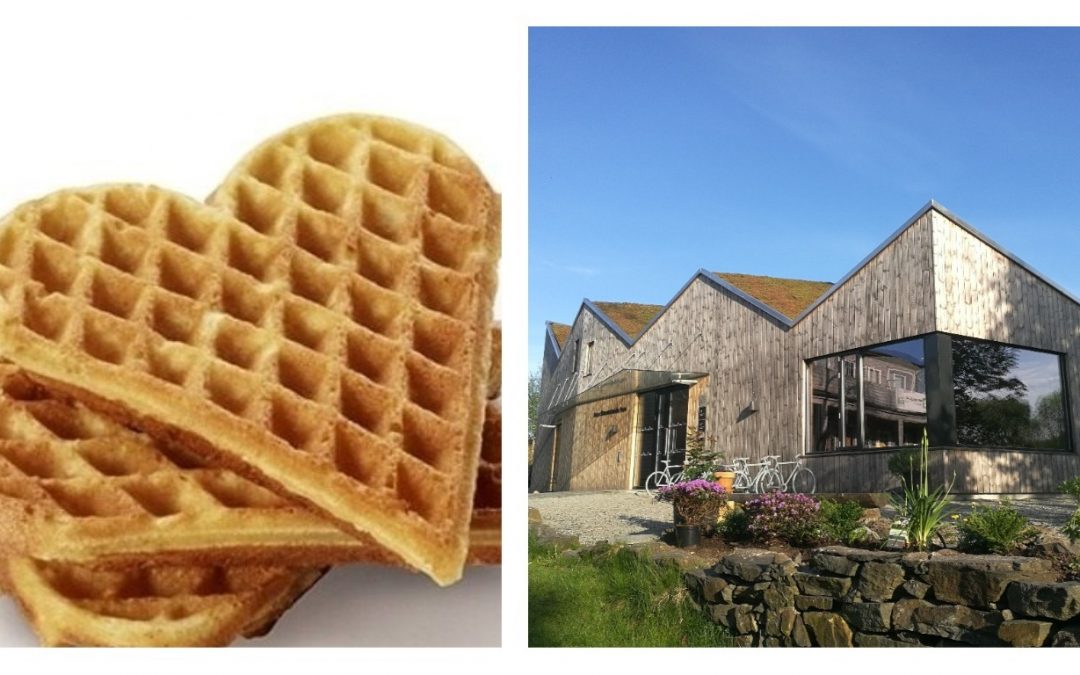 Forsiktig gjenåpning av Mostun natursenter